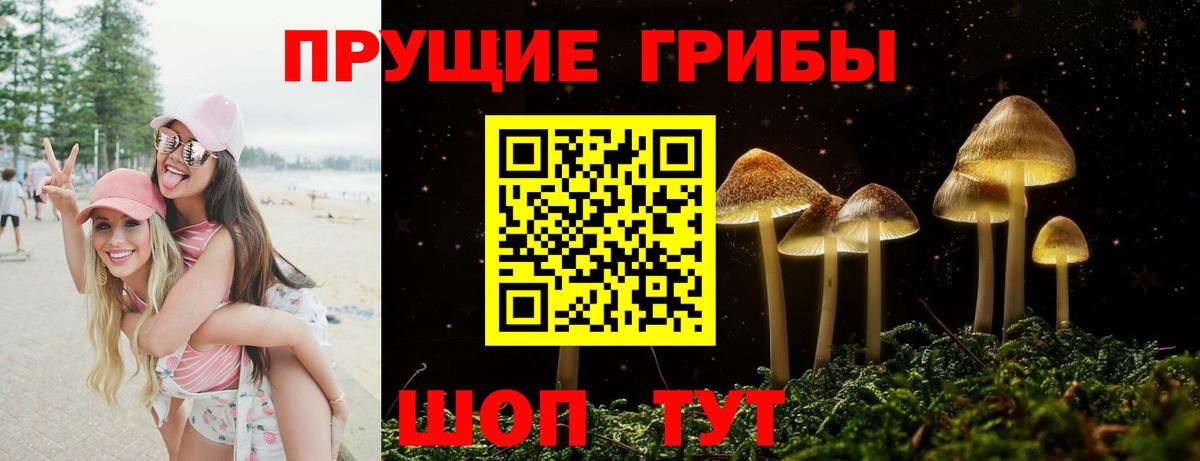 Псилоцибиновые грибы MAGIC MUSHROOMS  наркота  Вход с VPN  Шарыпово  Галлюциногенные грибы GOLDEN TEACHER 